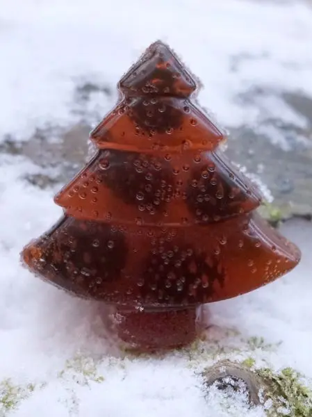 Мармелад сосновый с шишкой ЁЛОЧКА, 90гр